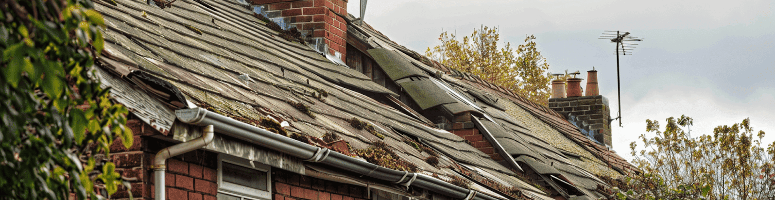 Housing Disrepair Resources